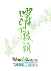 圆形枕头内胆